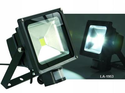 Power LED Floodlight with IR Sensor 10W (80W)