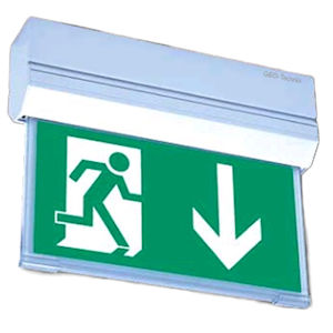 Emergency Exit Light LED Aluminium + Flag