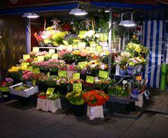 Verkaufsstand Beleuchtung Solar mit 2 LED Flutern