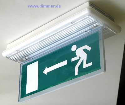 Emergency Exit Light Flag IP65